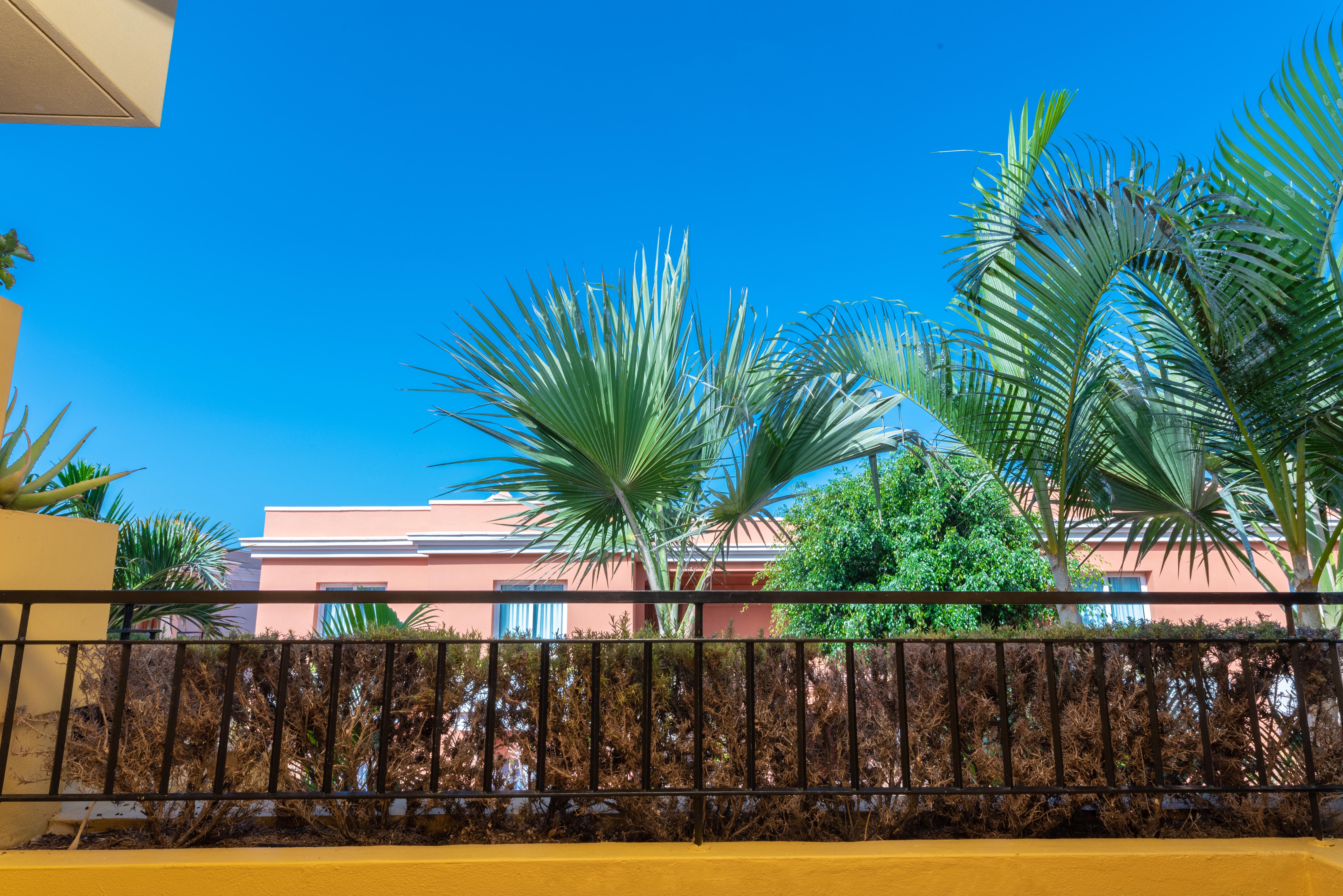 Landmar Costa los Gigantes Puerto de Santiago  Exterior foto
